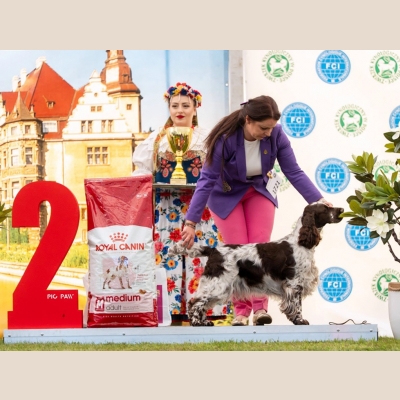 17 miesięcy